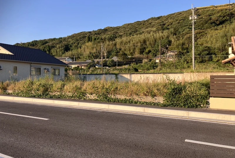 S__35979279_0
